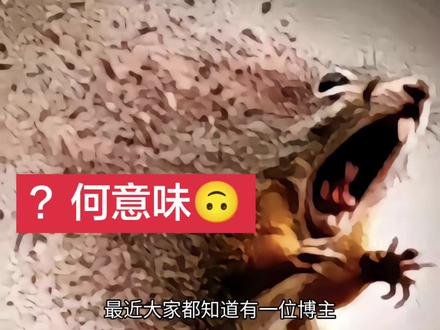 #豆包 #神圣 #福瑞
我也是不想说了🙃