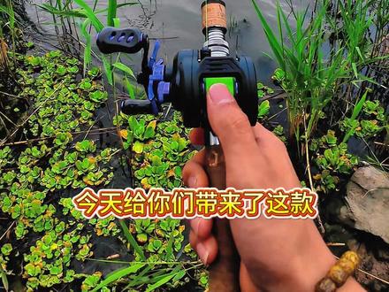 非常有性价比的一款鼓轮#科迈雷征服者DC #科迈雷 即将上市尽情期待#路亚钓鱼装备推荐 #路亚