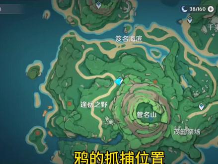 原神鸦的抓捕位置 #原神 #原神枫丹