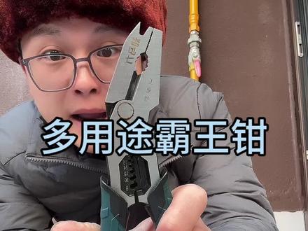 能剪钢丝的钳子是真的吗? #评测#打假#钢丝钳#霸王钳