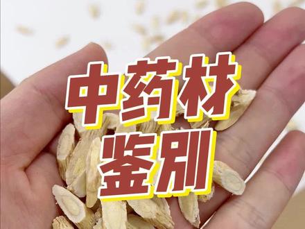 黄芪真假鉴别 中药材#中药材 #黄芪 #养生 #滋补
