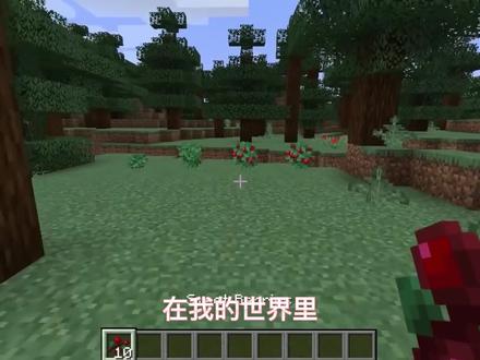 我的世界:5个关于狐狸的小知识,那些你不知道的小秘密 #mc不灭 #制作不易 #我的世界 #一定要看到最后