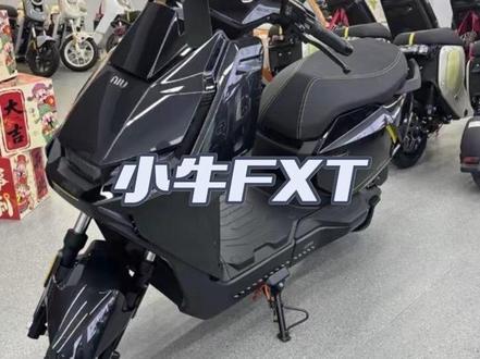 小牛26fxt #小牛fxt#小牛电动