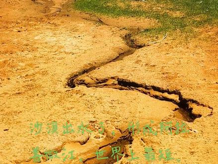 沙漠出水了,形成阿拉善微江,只有30米长,最窄处尽3厘米,是世界上最短、最窄的河!#旅行推荐官 #户外 #一起享受大自然的美 #沙漠 #旅行 @小美靓妆造型 @"༒ℒℴѵℯ·杨⁵²⁰ @阿拉善推荐官 @迪丽热兮 @李Pinky~ @中卫旅拍-晨沫 @傲慢女人 @五月(生态摄影) @八里沟•阿丹