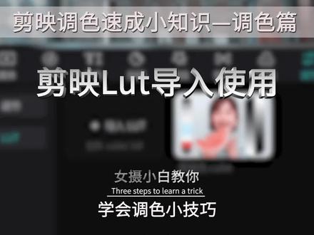 视频不会风格化调色?教你一个三秒就可以快速调色的办法 #剪辑教程 #调色教程 #风格化调色 #