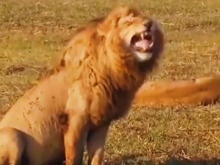 复制此口令,打开最新版【剪映】加入小组$ https://www.capcut.cn/invite/fbc644e0f6767c538d8d137cdb6bb59e $ 2023-07-07失效。