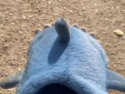 第一课,教弟弟走路要自信#我的乡村生活一般人不知道是什么 #踩鞋转场