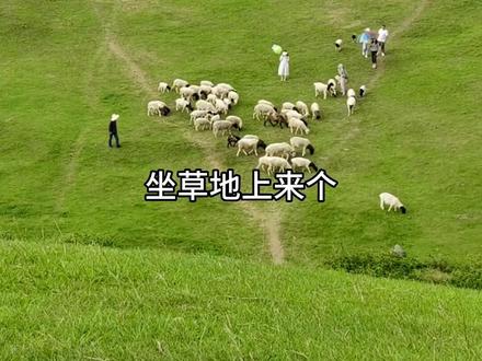 带你感受真实的两天一夜,48小时郴州之旅~
#旅行vlog #郴州旅游 #仰天湖大草原 #东江湖 #高椅岭