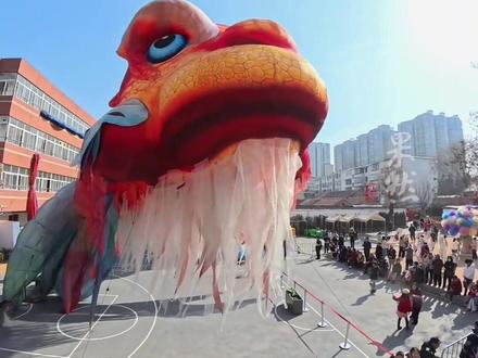 济南21米“出逃鳌鱼”现身章丘水库 全网“寻鱼大作战”落下帷幕 官方表态:不再对外展出