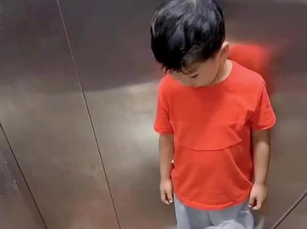 盘点萌娃不同的脑回路#萌娃 #语出惊人的熊孩子 #看完不笑算我输