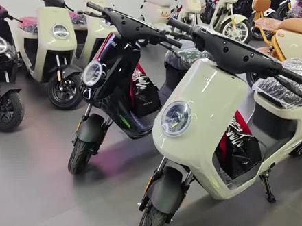 龙岩小牛,2026新版小牛mt终于来了#小牛 #小牛mt #2026 #抖音流量扶持 #龙岩