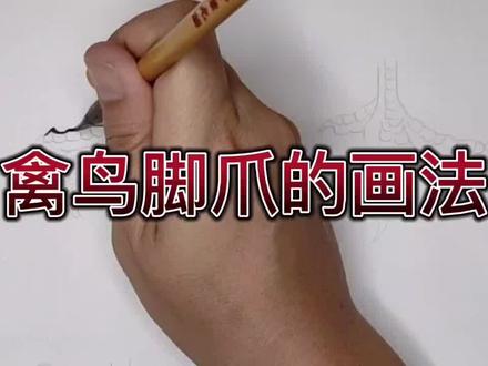 简单易学的禽鸟脚爪画法