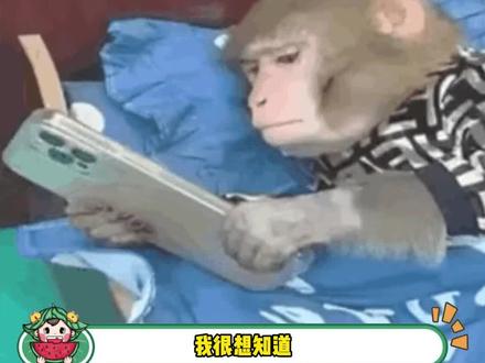 你的手机型号是啥呀?!#万万没想到 #手机型号 #娱乐评论大赏