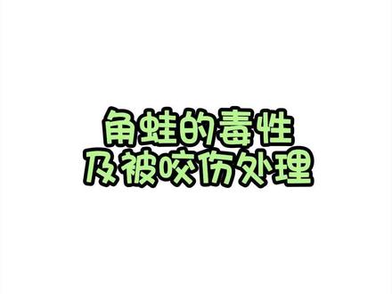 角蛙的毒性及被咬伤处理 参考文献-《角蛙、树栖蛙饲养超级指南》
角蛙没有毒性!
它们主要依靠自身伪装和伏击能力来捕食猎物,而不是依靠毒液来捕猎或自卫。所以一般情况下,角蛙对人类和其他动物没有毒性威胁。
角蛙是一种肉食性蛙类,其肤色艳丽,外观狰狞可怕,性格也是极其凶猛,但是它主要依靠强壮的颚部和黏性的舌头捕捉食物。皮肤上细小突出的疣粒只是用来保湿、增加摩擦力,不会分泌毒液。
被咬伤处理
蛙正常不咬人,但是送上门的手指肯定不会放过。角蛙的观赏性大于互动性,非必要情况,尽量不去抓角蛙。如需要抓蛙,可以从背后抓,这样可以有效避免咬伤。万一被咬伤出血后,应立即用清水冲洗伤口5分钟,然后用碘伏对伤口进行消毒即可,避免伤口感染。#角蛙 #角蛙咬人
