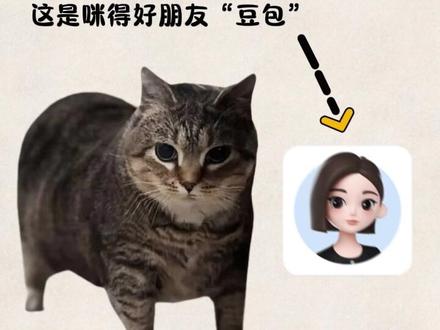 家里有宠物的可以制作过年专属拜年视频哦! #豆包app #春节氛围