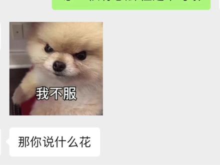 每天一个调戏对象小技巧#情侣聊天 #聊天套路 #恋爱技巧 #犯贱小技巧