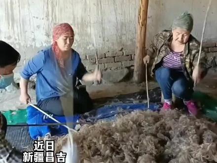 哈萨克族传统手工艺擀毡#擀毡