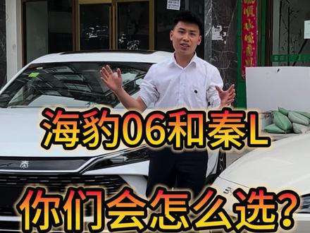 看完你们怎么选?#海豹06#秦L#六盘水胜恒汽车