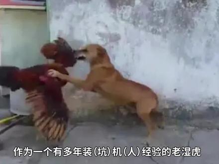 【翻车失败】CPU升级很简单 但我却折腾了一下午 #电脑 #主板 #CPU #数码 #AMD #硬件