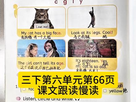 三下英语第六单元第66页课文跟读慢读 #生活服务热点中心 #每日英语 #英语课本预习 #英语学习资料分享 #三年级英语