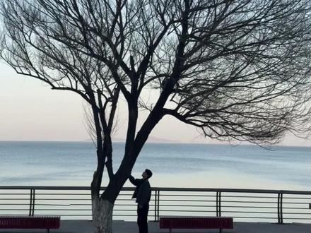 烟台孤独的树具体路线来咯 请注意查收
#烟台 #烟台孤独的树