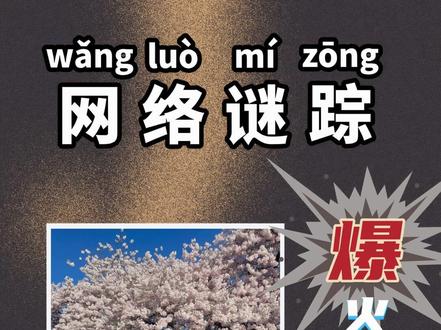 爆火的樱花树究竟在哪里 #网络谜踪 #推理 #冯柯南