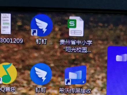 希沃投屏➕ipad➕wps 完美!