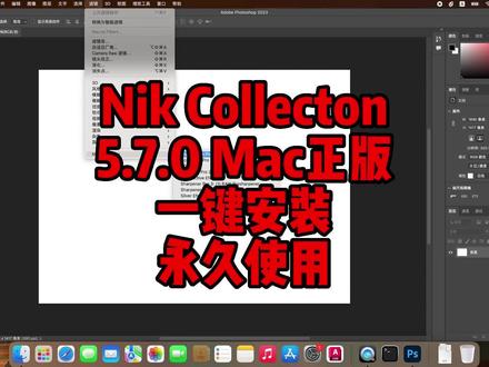 PS插件,Nik Collection 5.7 Mac中文版,一键装机,永久使用。#PS插件 #nik插件 #ps调色插件