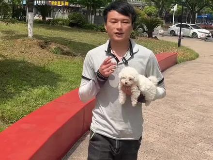 幼犬没打完疫苗可以出去玩吗?#新手养狗 #养狗经验分享 #科学养宠攻略