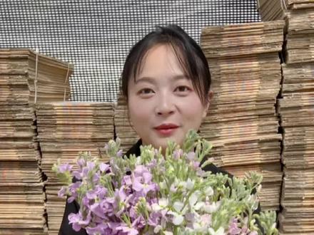 收到紫罗兰鲜花不知道怎么醒花养护?这个教程看一遍你就学废~#女性创业 #昆明鲜花 #紫罗兰@DOU+小助手 @抖音小助手