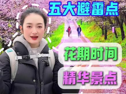 三月份是贵州的赏花季,平坝樱花🌸,百里杜鹃🌺。花期在什么季节❓还有以下5个注意提前了解避免踩坑‼️#贵州旅游 #平坝樱花 #百里杜鹃 #贵州旅游推荐
