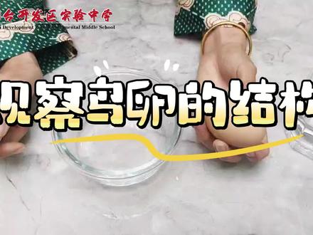 #青少年课外知识讲堂 #初中生物小实验 家庭观察鸟卵的结构
