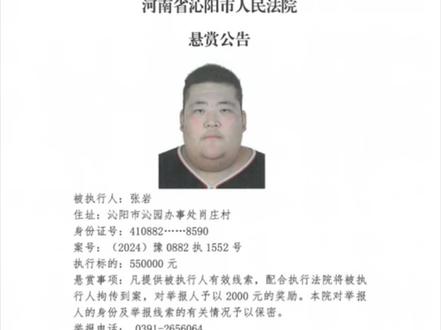 沁阳市人民法院执行悬赏公告(2025年第26期)