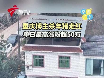 因一条帮父亲按年猪的求助视频意外爆红,重庆博主“呆呆”单日最高涨粉超50万,短视频广告报价曝光:1分钟以上视频合作报价达2400元,引发热议。#呆呆杀猪宴 #早安广东