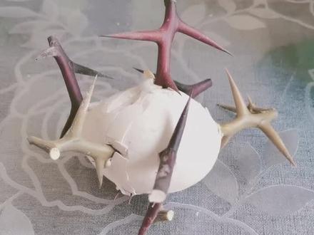 #猜猜这是啥 #人生百味自己体会 #只要腿能好自己吃起来,希望朋友都健康最重要。