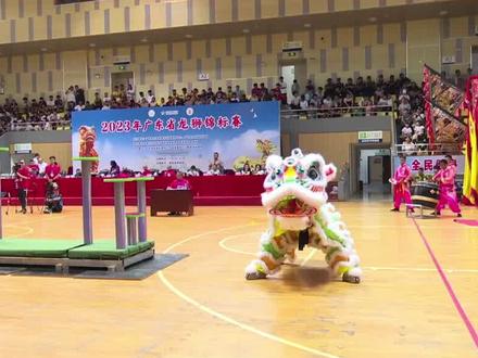 广东省龙狮锦标赛:南狮高桩自选套路
广东湛江遂溪龙湾艺术团B队
#南狮比赛 #高桩舞狮 #遂溪醒狮