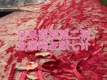 2026呆呆喜提第二祸,全国网友为她见招拆招 #呆呆书法#呆呆送对联#呆呆上热门#合川旅游