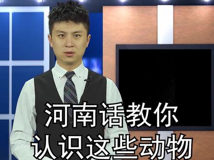 河南话教你认识这些动物,你还知道哪些呢? #方言 #河南 #商丘 #游在商丘 @抖音小助手