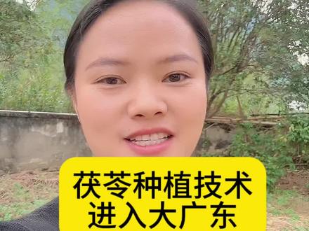 王静带领茯苓产业进入大广东!#新农人计划