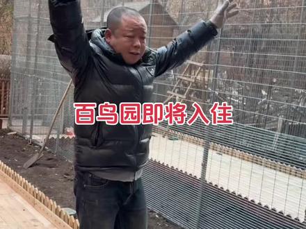 百鸟园即将入住 #百鸟园 #小院改造 #制作过程