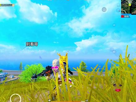 帅吗 ,不处,加纳!#和平精英