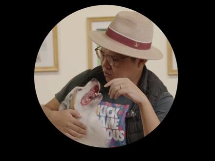 边牧聪明伶利、长相美丽,是很多朋友的梦中小狗,喜欢边牧的你,还有什么宝藏品种可以关注一下呢❓#边牧 #迷你澳牧 #抖音搜索流量来了 #澳大利亚牧羊犬