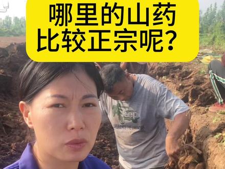 全国山药哪个地方的更正宗?#温县铁棍山药 #怀山药 #现挖现发 #源头好货 #优质农产品