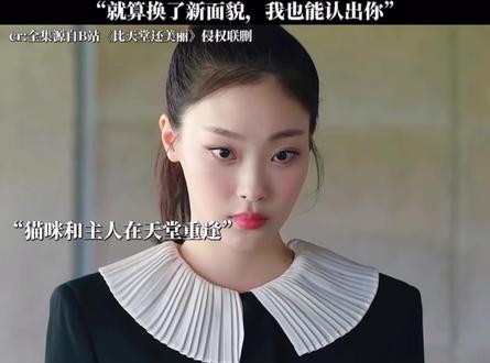 韩国最应该申遗的应该是电视#比天堂更美 #宠物 #猫咪 #狗狗 #感人催泪电影