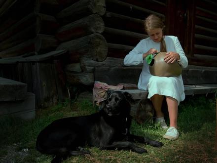 用3D-LUT简单调色 #摄影后期教程