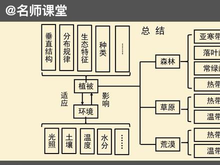高一地理必修一 植被(2) 高中地理 新人教版同步视频教程地理分析 #高一地理 #高中地理 #地理必修一