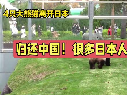 归还中国!很多日本人哭了!