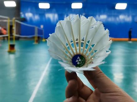 你知道一个尤尼克斯AS9羽毛球多少钱吗?#羽毛球 #修羽毛球