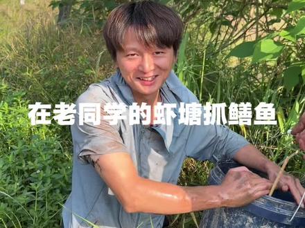 在老同学家的虾塘抓鳝鱼,不仅除了害,还增加了收入,双赢!『鳝鱼属于鱼类,如果引人不适,请谨慎观看』