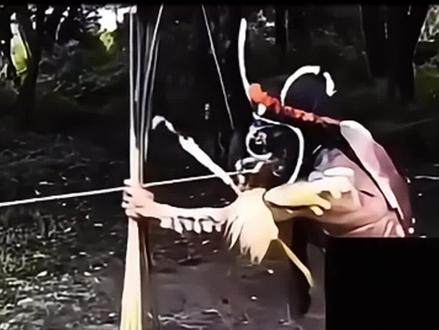 采访食人族(上集)#李忆探险家 #食人族